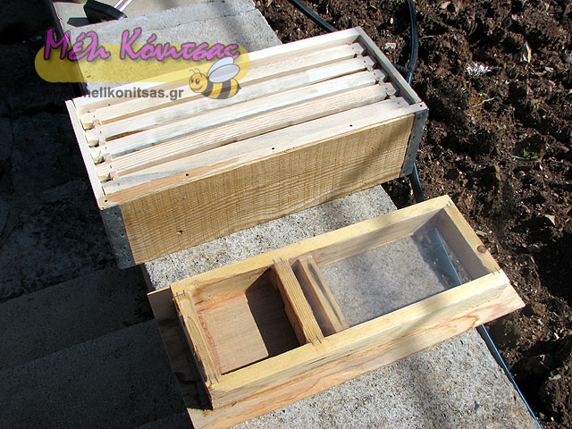 five-frame-beekeeping-21