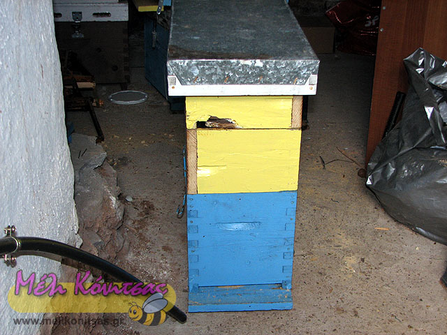 five-frame-beekeeping-24