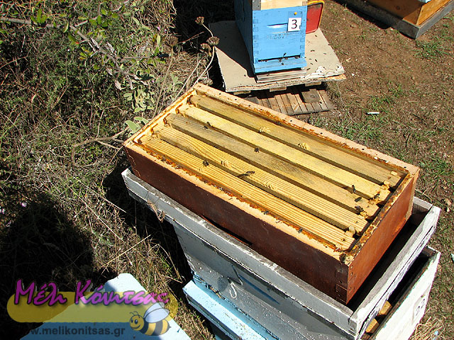 five-frame-beekeeping-3