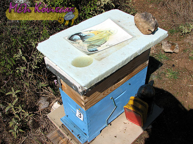 five-frame-beekeeping-4