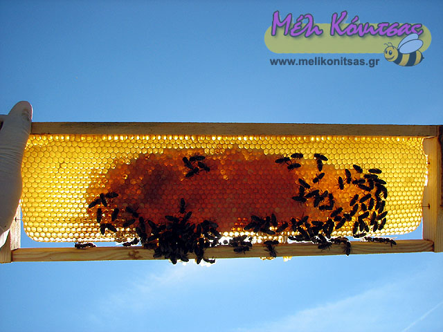 five-frame-beekeeping-6