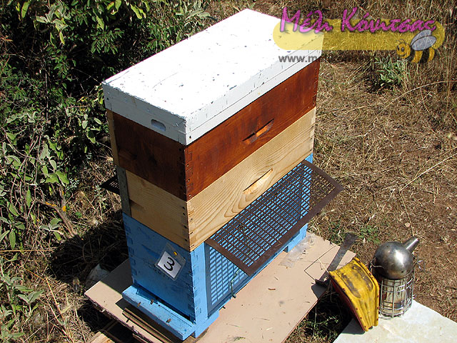 five-frame-beekeeping-7